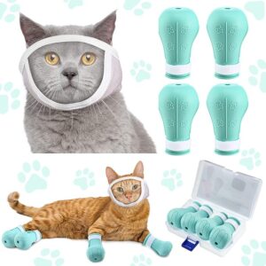 Cat Muzzle: The Ultimate Guide
